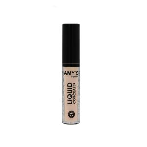 AMY'S Liquid Concealer No 01