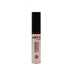 AMY'S Liquid Concealer No 03