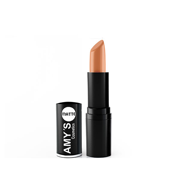 AMY’S Matte Lipstick No 300